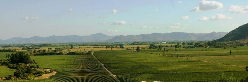 Wine resort