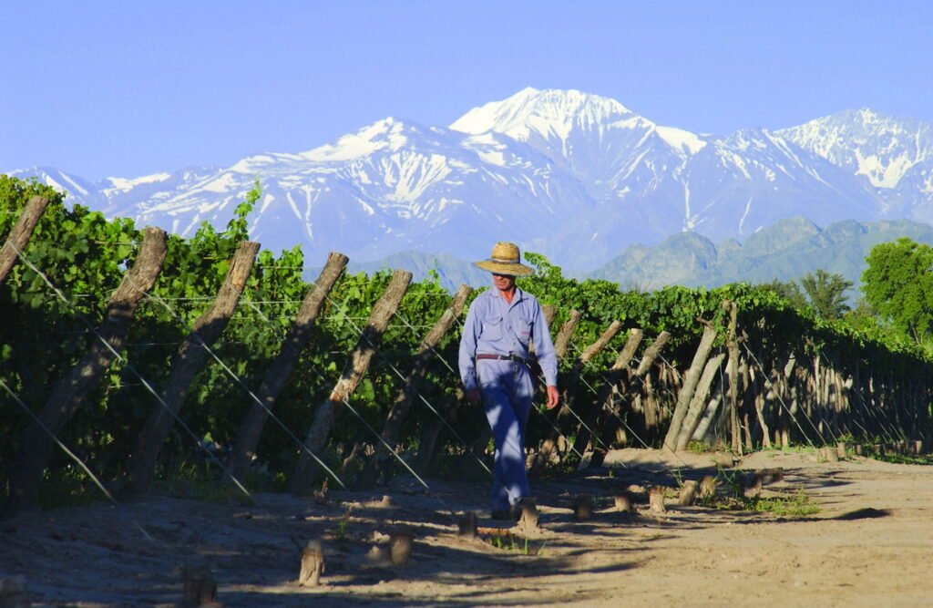 Luxury wine tours in Mendoza Argentina Malbec Torrontes