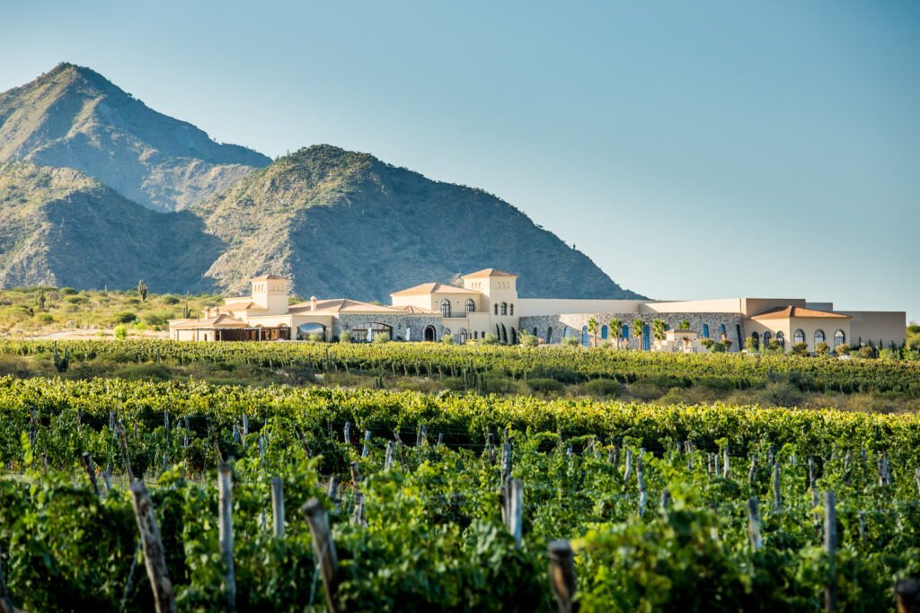 Wine, Heritage & Gastronomy