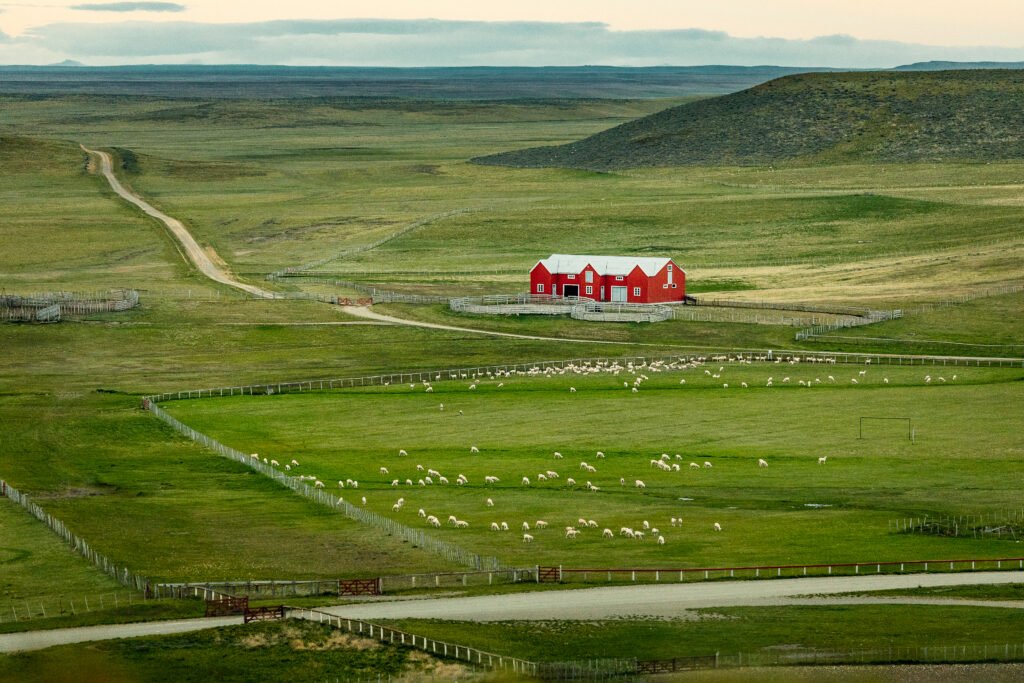 Untamed Landscapes & Private Lodges